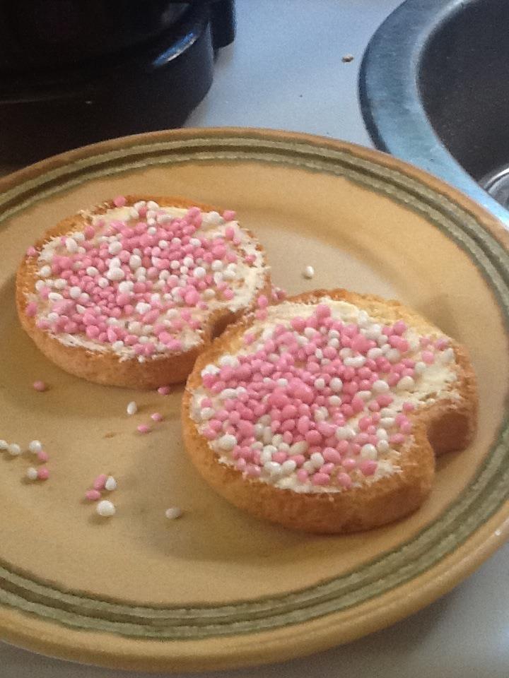 beschuit met muisjes