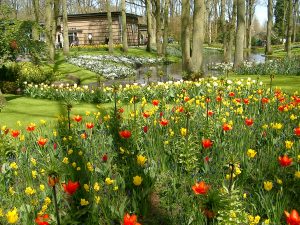 Keukenhof