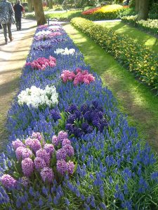 Keukenhof