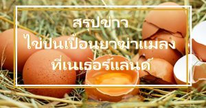 ไข่ปนเปื้อน